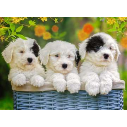 Puzzle Ravensburger - cachorros mimosos