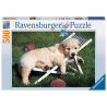 Puzzle Ravensburger - golden retrivier