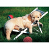 Puzzle Ravensburger - golden retrivier