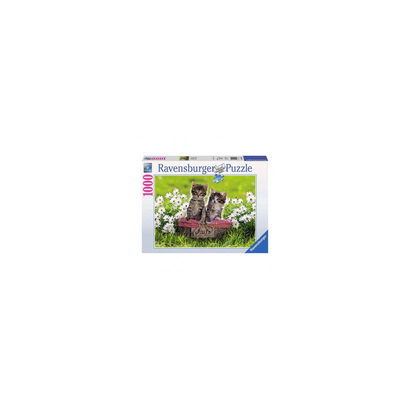 Puzzle Ravensburger - picnic entre las margaritas