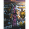 Puzzle Ravensburger - Bonn en flores