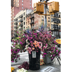 Rompecabezas Ravensburger "Momento Flores en Nueva York" de 300 piezas