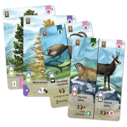 FOREST SHUFFLE CUMBRES ALPINAS