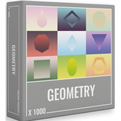 Puzzle Geometry 1000
