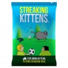 Streaking Kittens