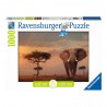 Puzzle Ravensburger Elefante en Masai Mara 1000 Piezas